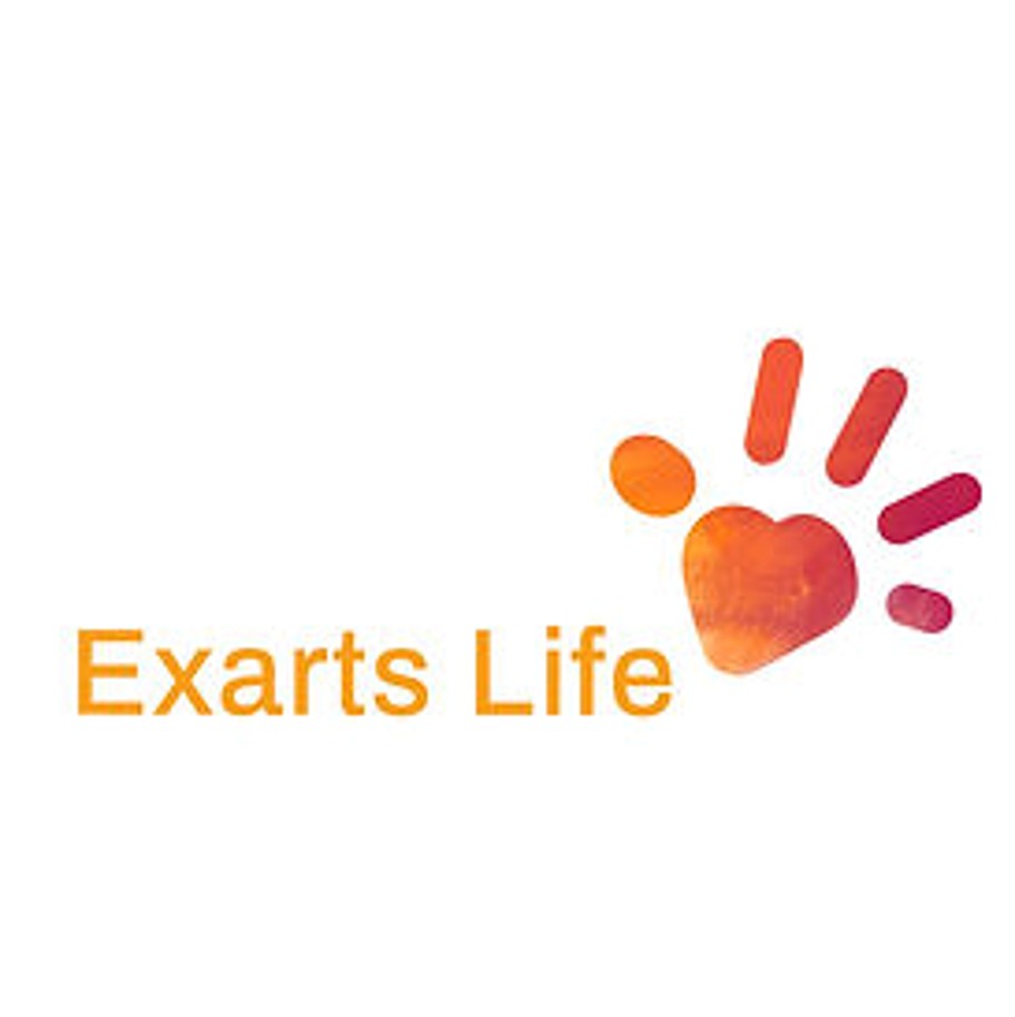 Exarts Life